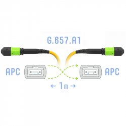 Патчкорд оптический MPO/APC FF SM G.657.A1, 24 волокна, 1 метр (Cross)