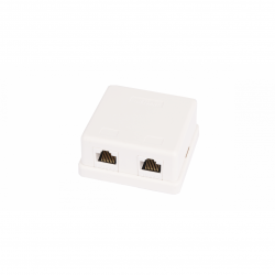 Настенная розетка NETLAN, 2 порта, Кат.5e (Класс D), 100МГц, RJ45/8P8C, 110, T568A/B, неэкранированная, белая, уп-ка 10шт.