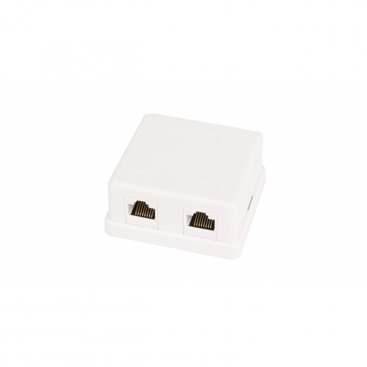 Настенная розетка NETLAN, 2 порта, Кат.5e (Класс D), 100МГц, RJ45/8P8C, 110, T568A/B, неэкранированная, белая, уп-ка 10шт.