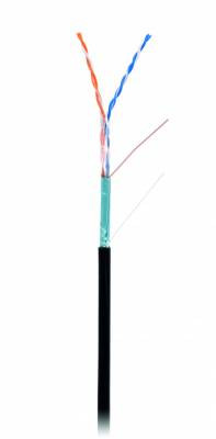 Кабель NETLAN F/UTP 2 пары, Кат.5 (Класс D), 100МГц, одножильный, BC (чистая медь), внешний, PE до -40C, черный, 305м