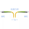 Патчкорд оптический FC/APC SM G.657.A1 1 метр
