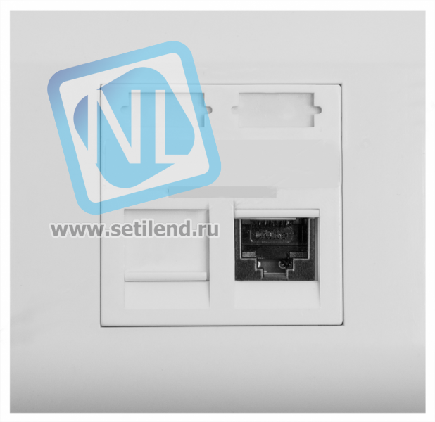Абонентская розетка SNR, встраиваемая, под модули Keystone, 2 порта