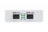 Медиаконвертер 10GbE SFP+ / SFP+