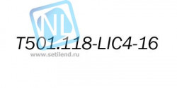 Лицензионный ключ на увеличение E1 портов с 4 до 16 для T501.118.400