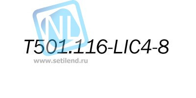Лицензионный ключ на увеличение E1 портов с 4 до 8 для T501.116.404