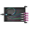 Кассета распределительная MPO/UPC на 8 LC/UPC портов, MM (OM4)