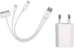 Адаптер зарядное устройство Iphone5/4, microUSB,1A