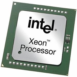Процессор IBM 13N0674 Intel Xeon DP 3.4GHz/800MHz with EM64T L2 1Mb Upgrade x226-13N0674(NEW)