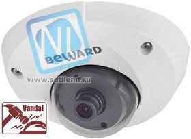 IP камера B1710DM