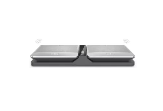 Беспроводные микрофоны CPW90 (CPW90 -2 шт, AMS-1 год) для CP960 и VC800/880/500/200 (требуется DD10)